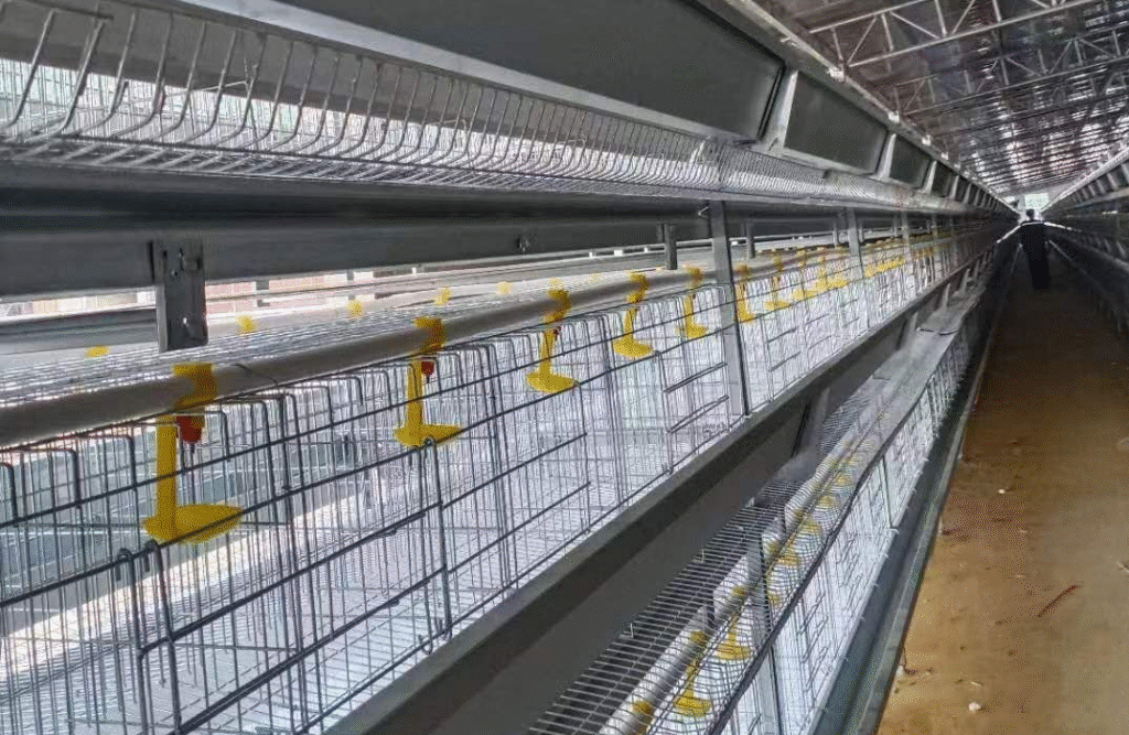 H-Type Hanging Layer Cages